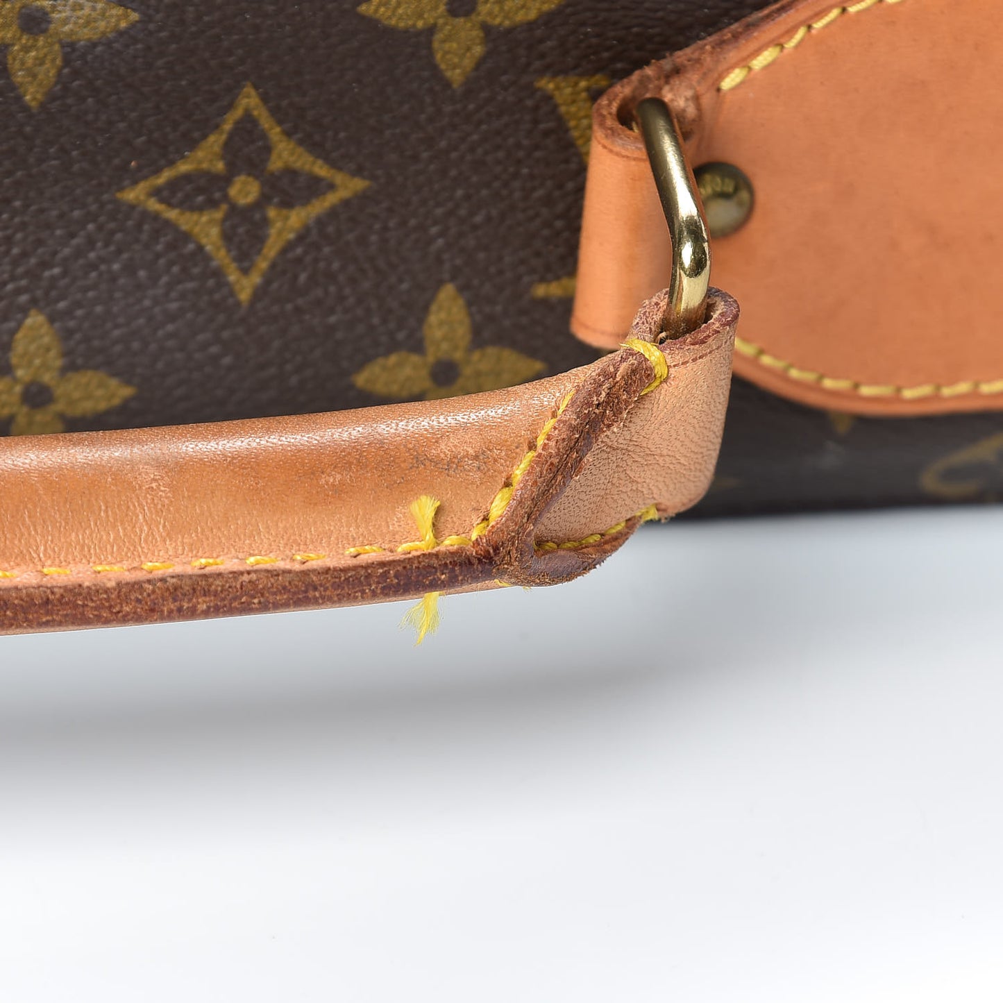 Monogram Garment Bag