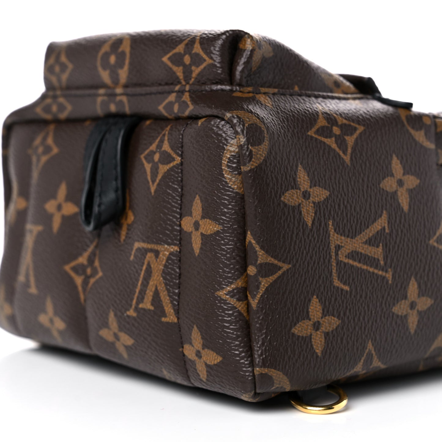 Monogram Palm Springs Backpack Mini