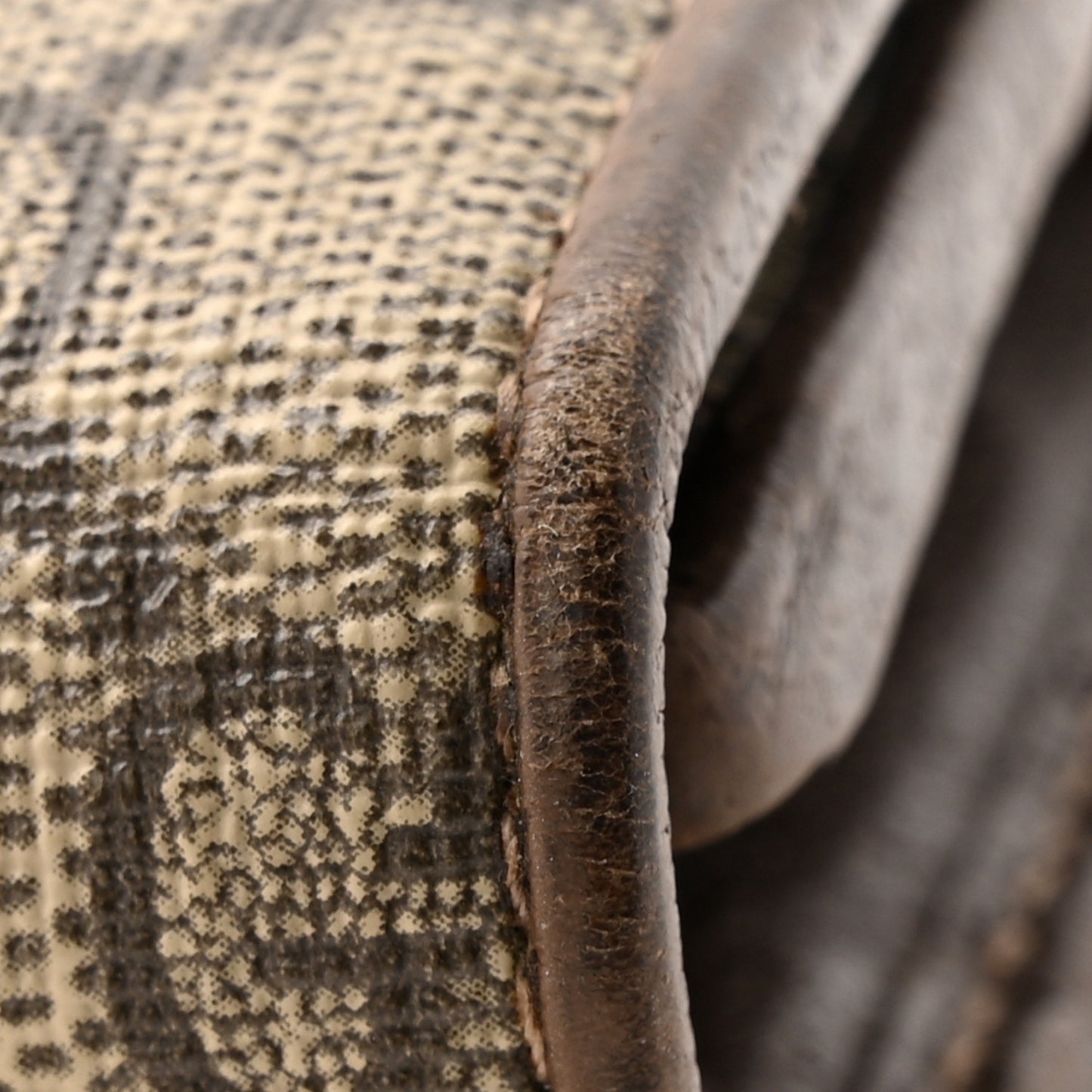 GG Supreme Monogram Web Ophidia Wallet On Chain Brown