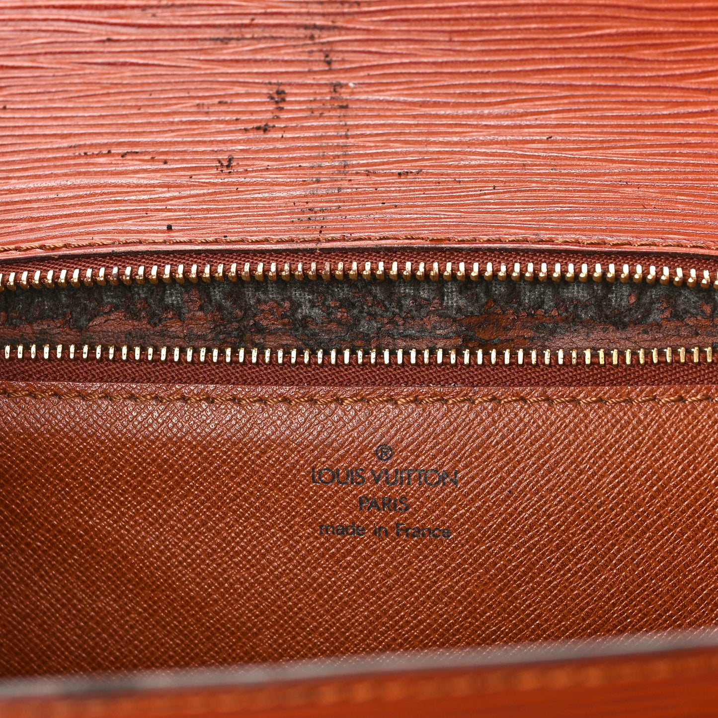 Epi Monceau BB Kenyan Fawn