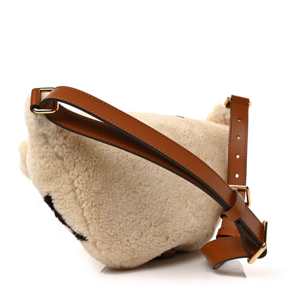 Louis Vuitton Shearling Monogram LV Ski Bumbag Cream Brown 3 of 8