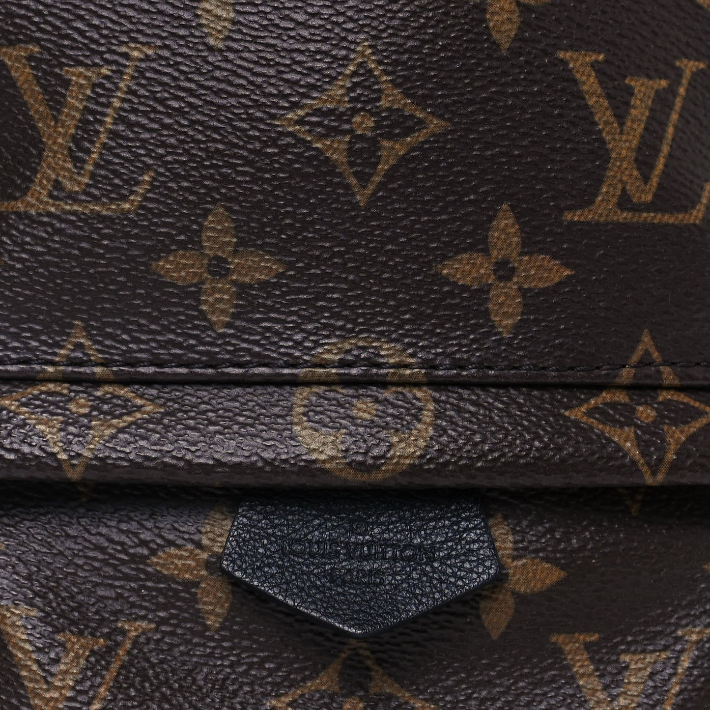 Monogram Palm Springs Backpack Mini