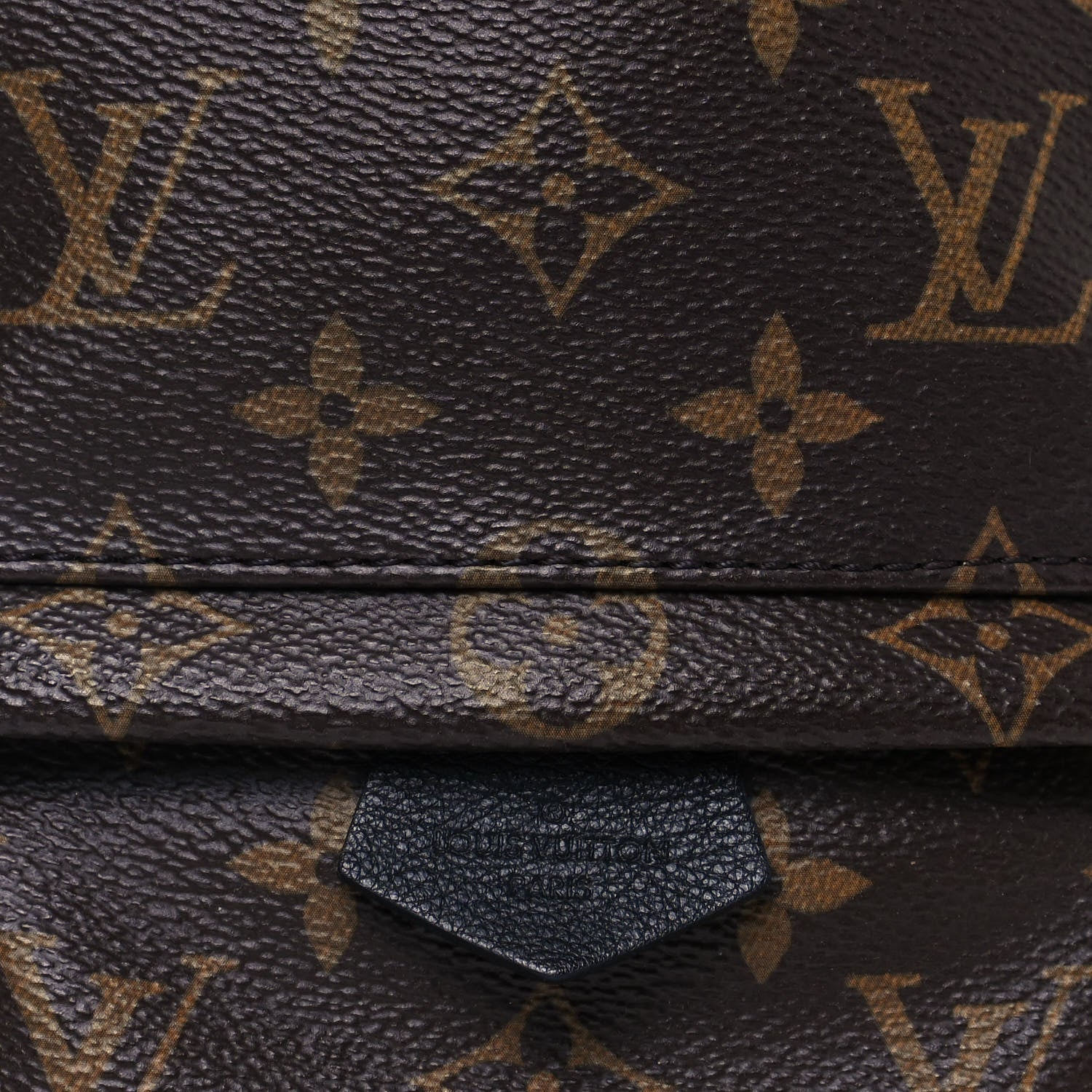 Louis Vuitton Monogram Palm Springs Backpack Mini 7 of 13