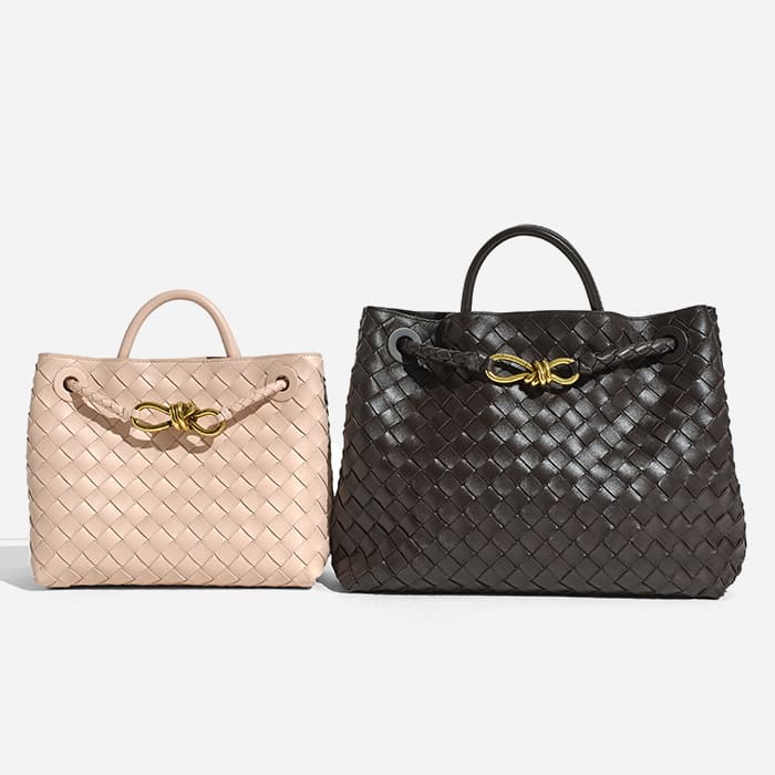 comparing the small bottega veneta andiamo bag with the medium bottega veneta andiamo bag by FASHIONPHILE