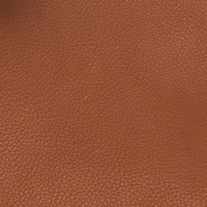 Hermes Fauve in Barenia swatch FASHIONPHILE