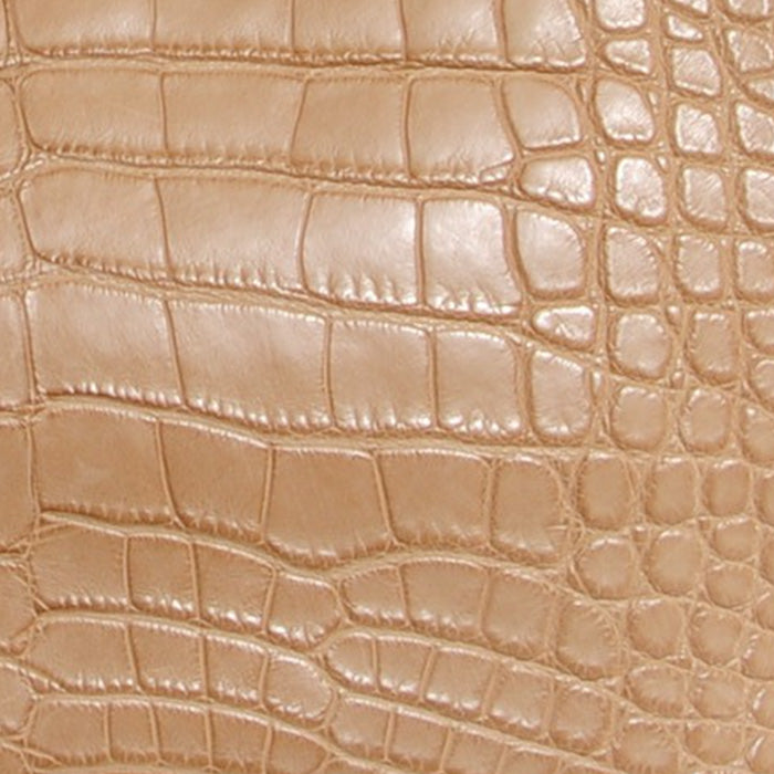 Hermes Poussiere in Matte Alligator swatch FASHIONPHILE