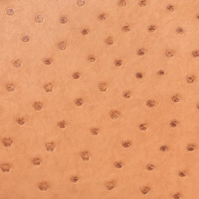 Hermes Sable in Ostrich swatch FASHIONPHILE