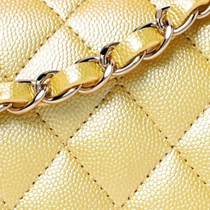 close up of Chanel iridescent leather