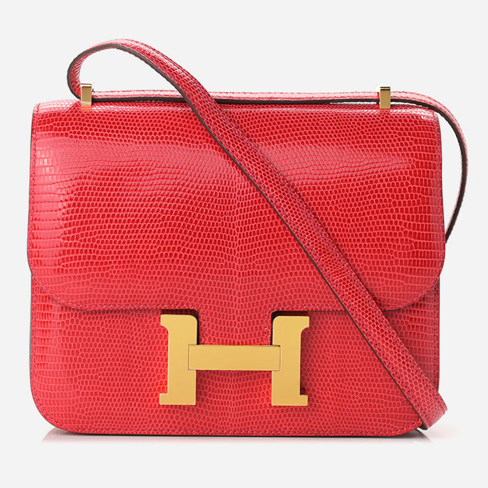 product image of Hermes Varanus niloticus lizard constance FASHIONPHILE