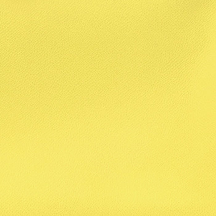 swatch of hermes lime epsom