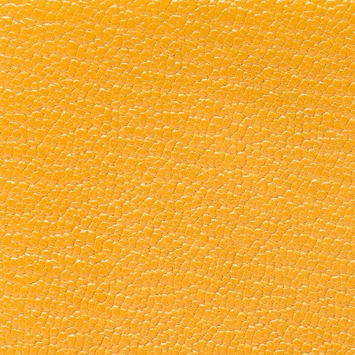 swatch of hermes moutard chevre mysore