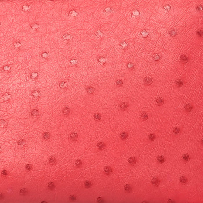 FASHIONPHILE color swatch of Hermes Bougainvillea in Ostrich