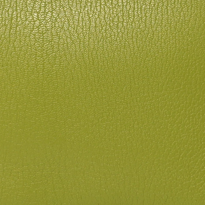 FASHIONPHILE color swatch of Hermes Vert Anis in Chevre Mysore