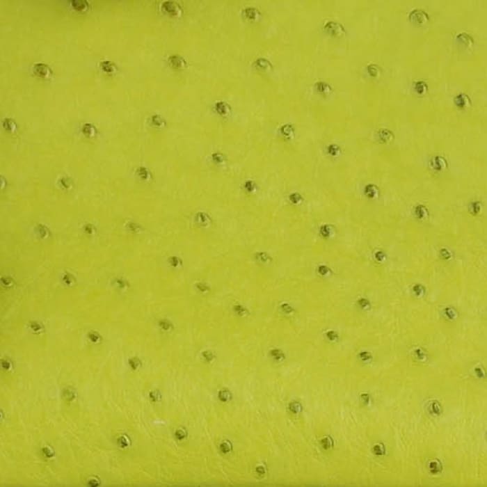 FASHIONPHILE color swatch of Hermes Vert Anis in Ostrich