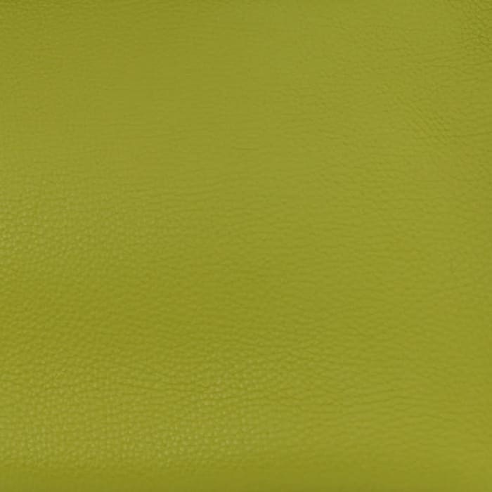FASHIONPHILE color swatch of Hermes Vert Anis in Togo