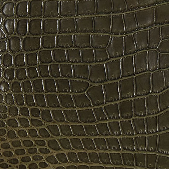 FASHIONPHILE color swatch of Hermes Vert Olive Crocodile