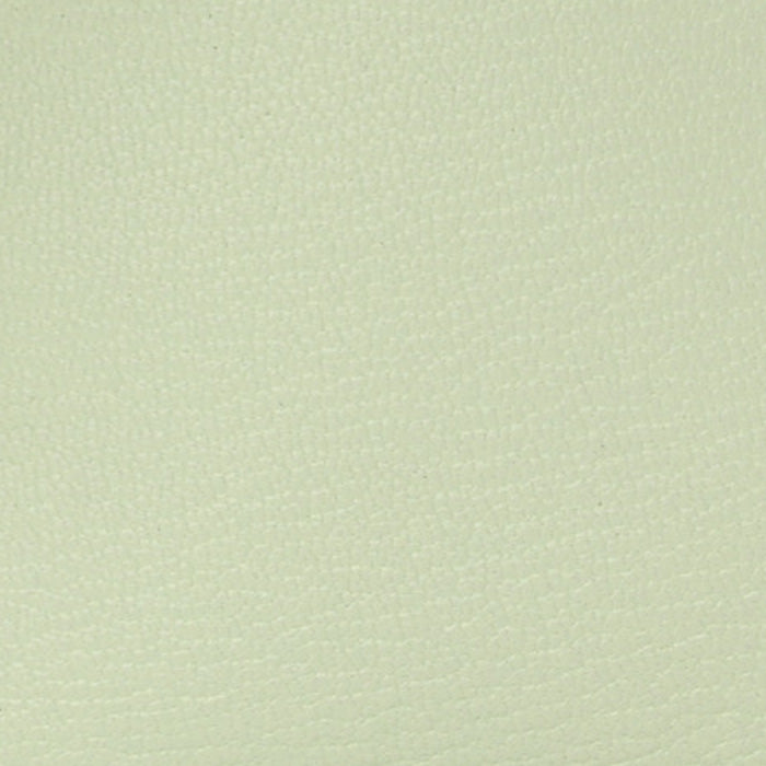 swatch of hermes vert fizz chevre mysore FASHIONPHILE