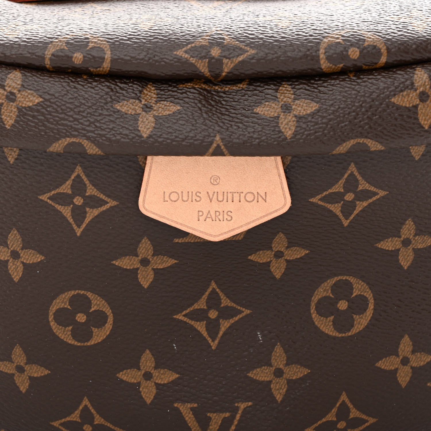 Louis Vuitton Monogram Bumbag 8 of 10