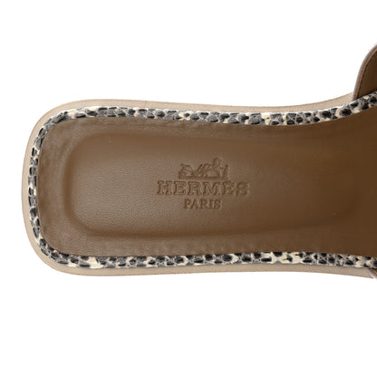 Hermes Lizard Oran Sandals 36 Ombre 7 of 11