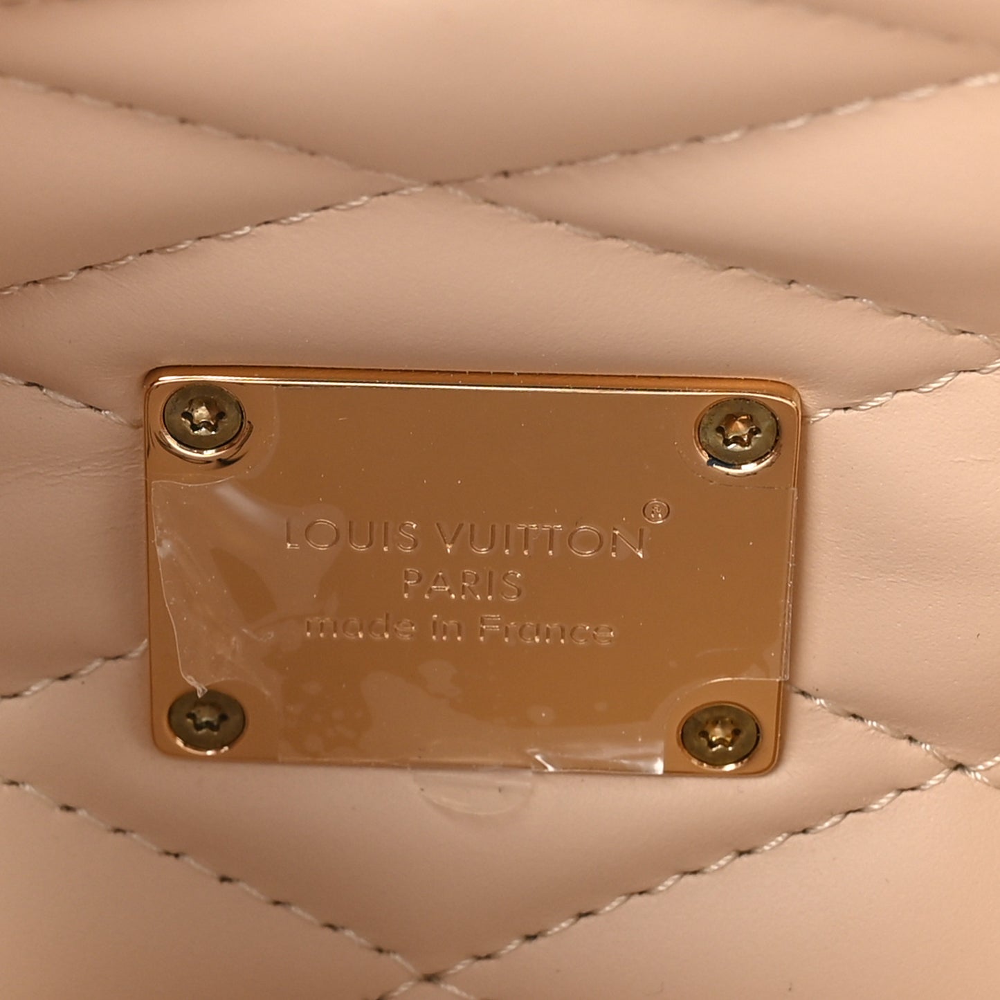 Monogram Speedy Trunk 20