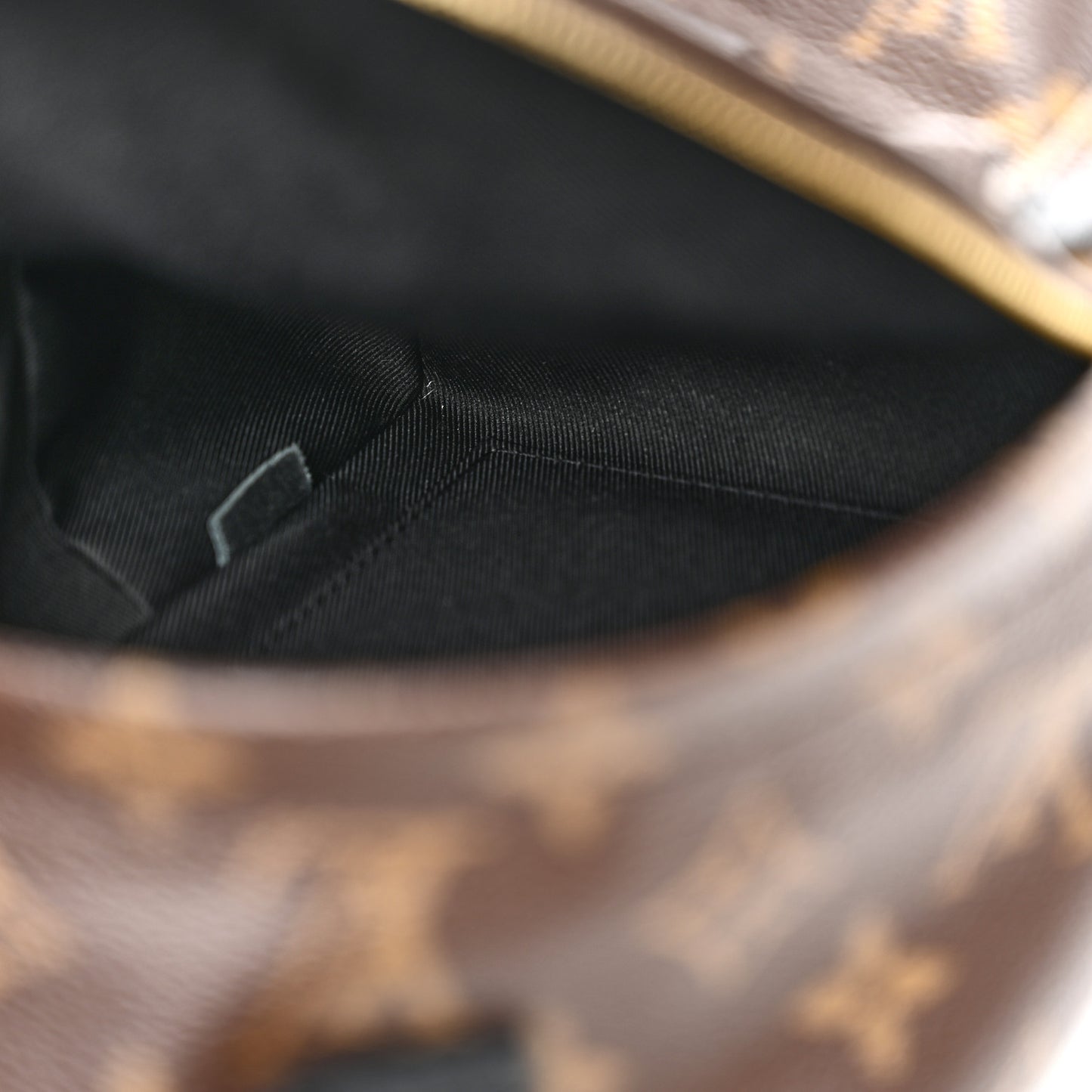 Monogram Palm Springs Backpack Mini