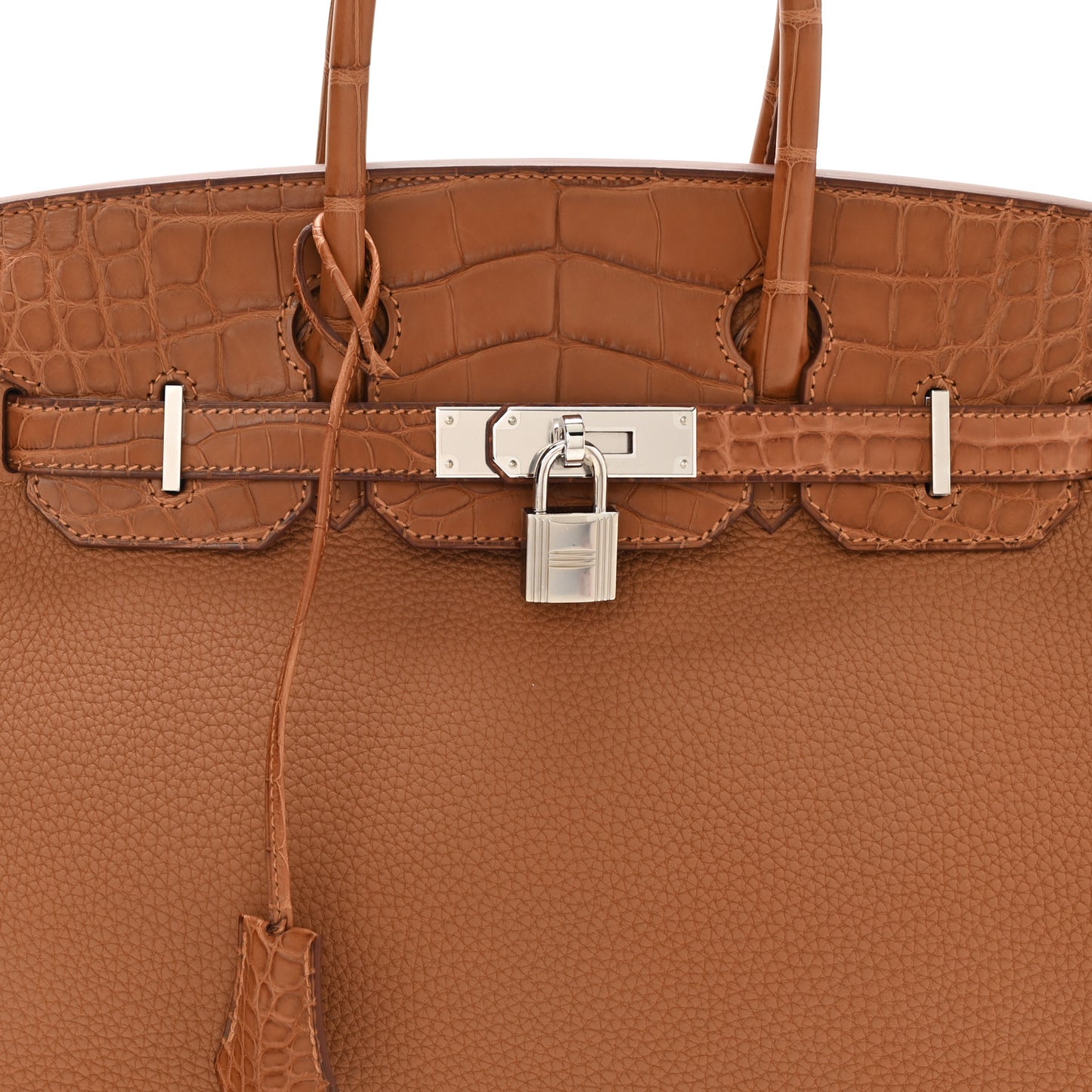 Togo Matte Alligator Birkin Touch 30 Gold