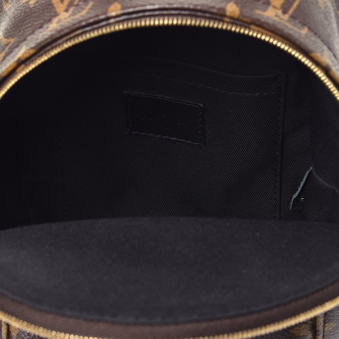 Monogram Palm Springs Backpack Mini