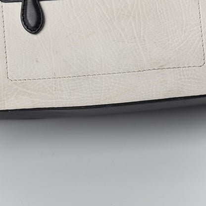 Celine Smooth Calfskin Shrunken Lambskin Mini Bi-Color Luggage Black White 19 of 31