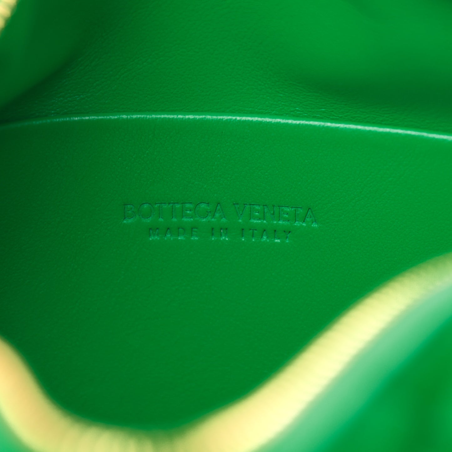 Nappa Intrecciato Mini Loop Camera Bag Parakeet