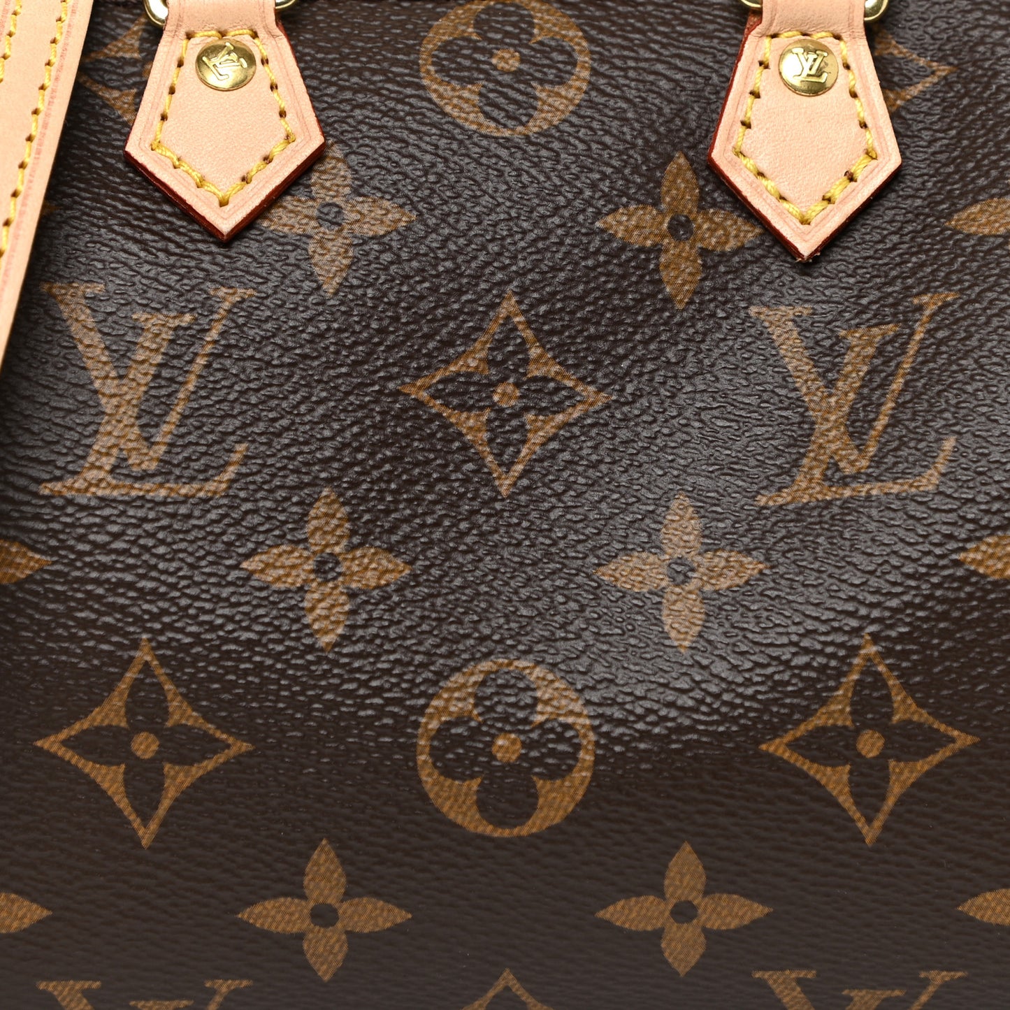 Monogram Nano Speedy