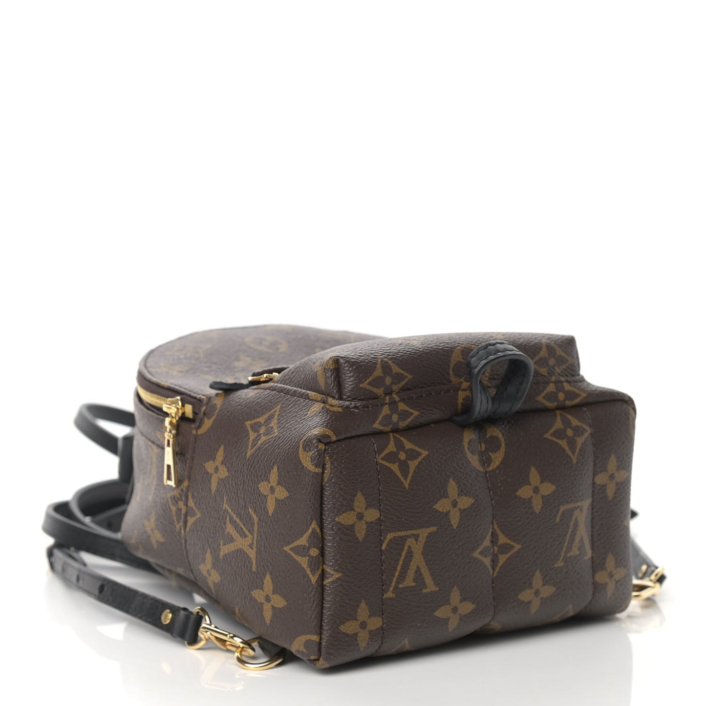 Monogram Palm Springs Backpack Mini
