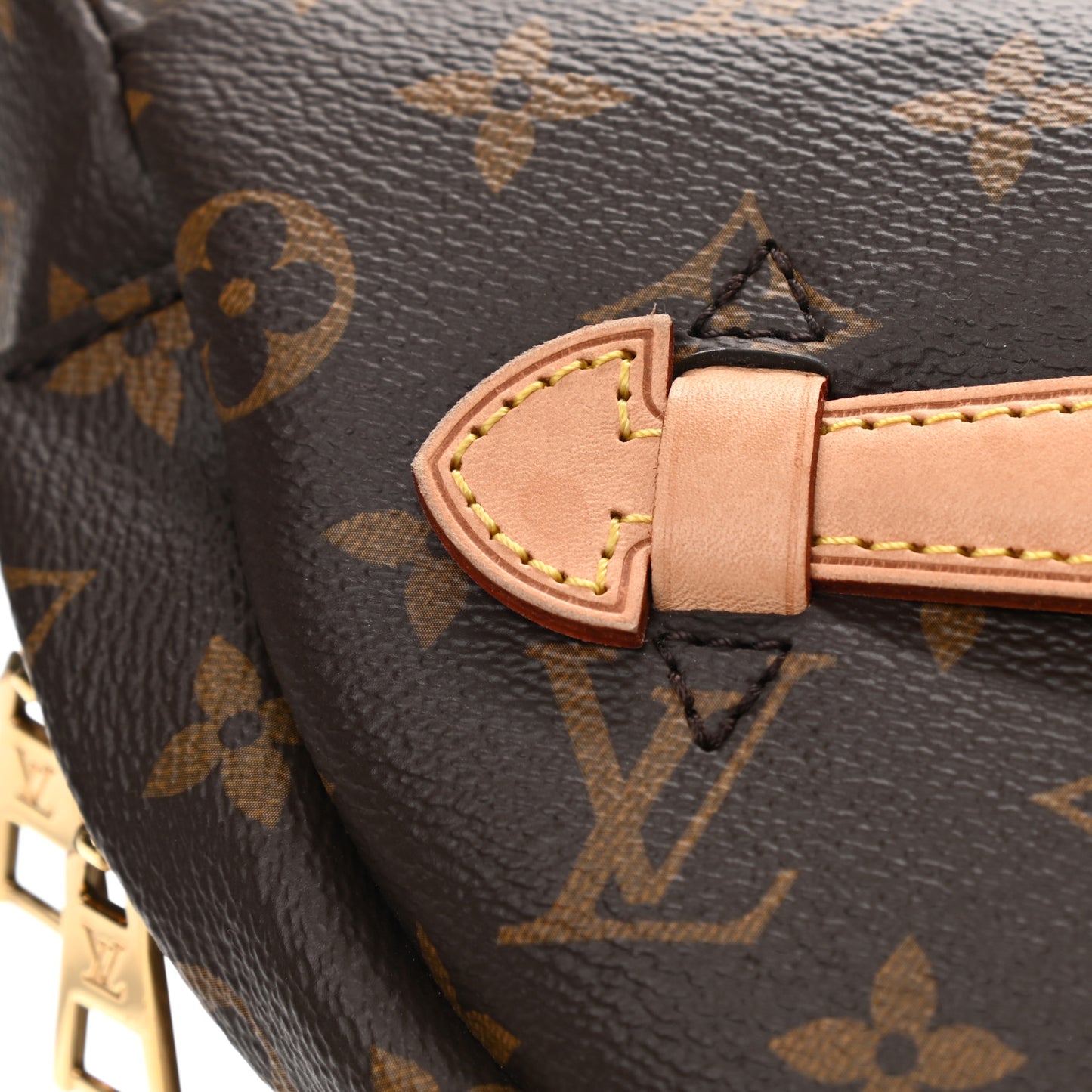 Monogram Bumbag