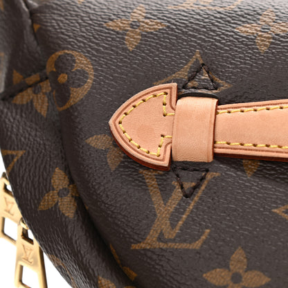 Louis Vuitton Monogram Bumbag 11 of 13