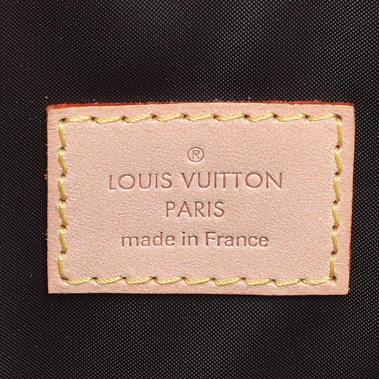 Louis Vuitton Monogram Baxter GM Dog Pet Carrier 6 of 7