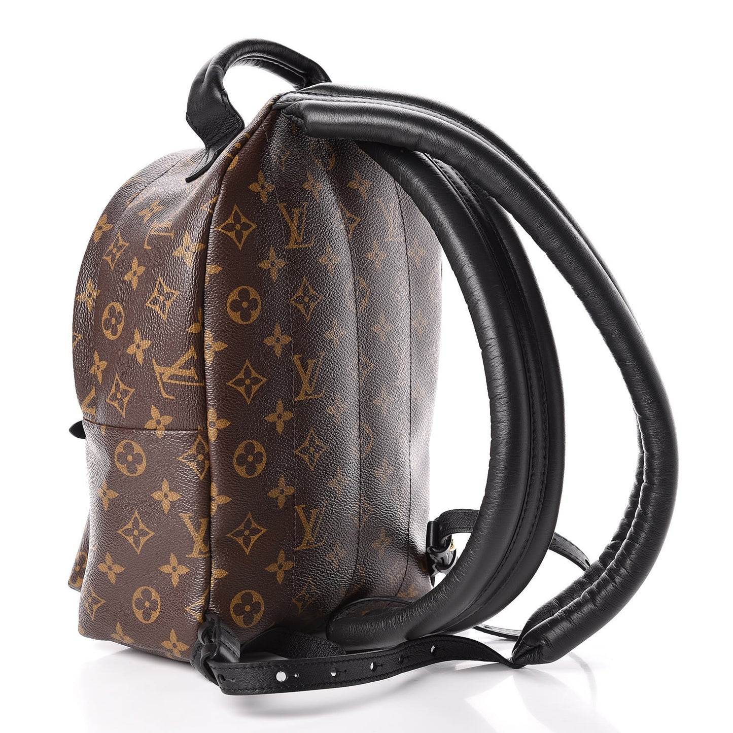 Monogram Palm Springs Backpack PM
