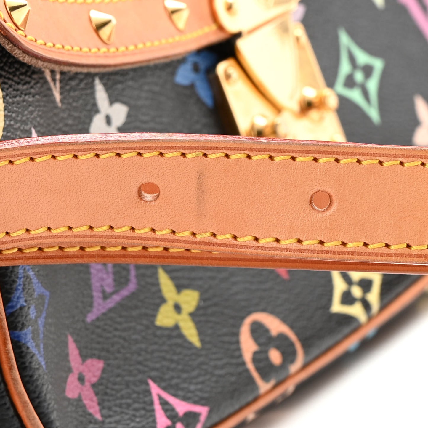 Monogram Multicolor Sologne Black