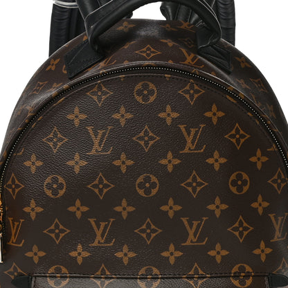 Louis Vuitton Monogram Palm Springs Backpack MM 7 of 11