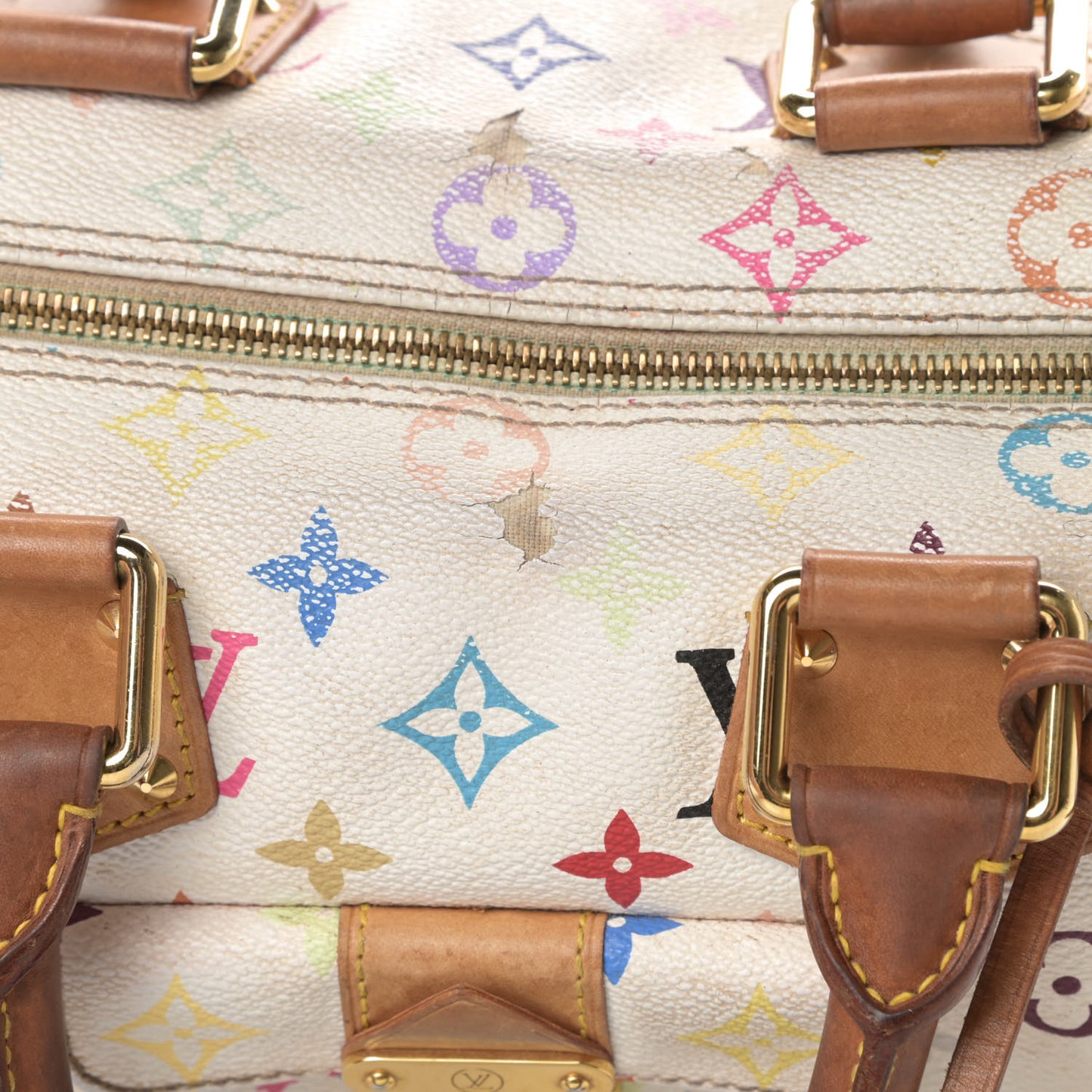 Monogram Multicolor Speedy 30 White
