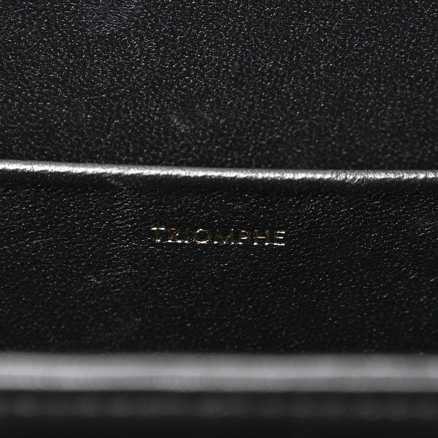 Shiny Calfskin Medium Triomphe Black