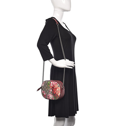 Gucci GG Supreme Monogram Blooms Mini Chain Shoulder Bag Beige Multicolor Dry Rose 2 of 9