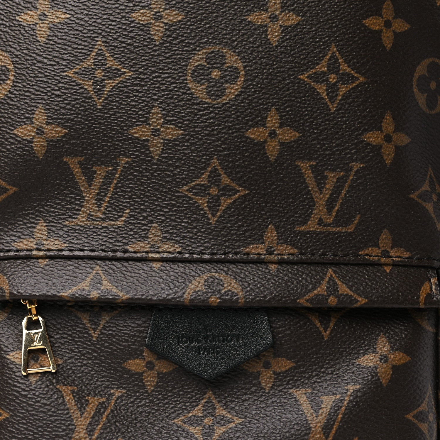 Louis Vuitton Monogram Palm Springs Backpack PM 8 of 10