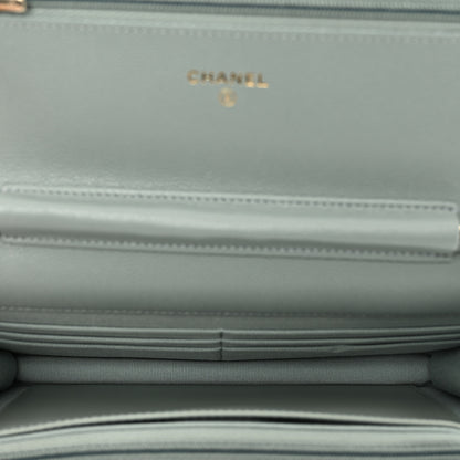 Chanel Caviar Quilted Wallet On Chain WOC Grey 6 of 12