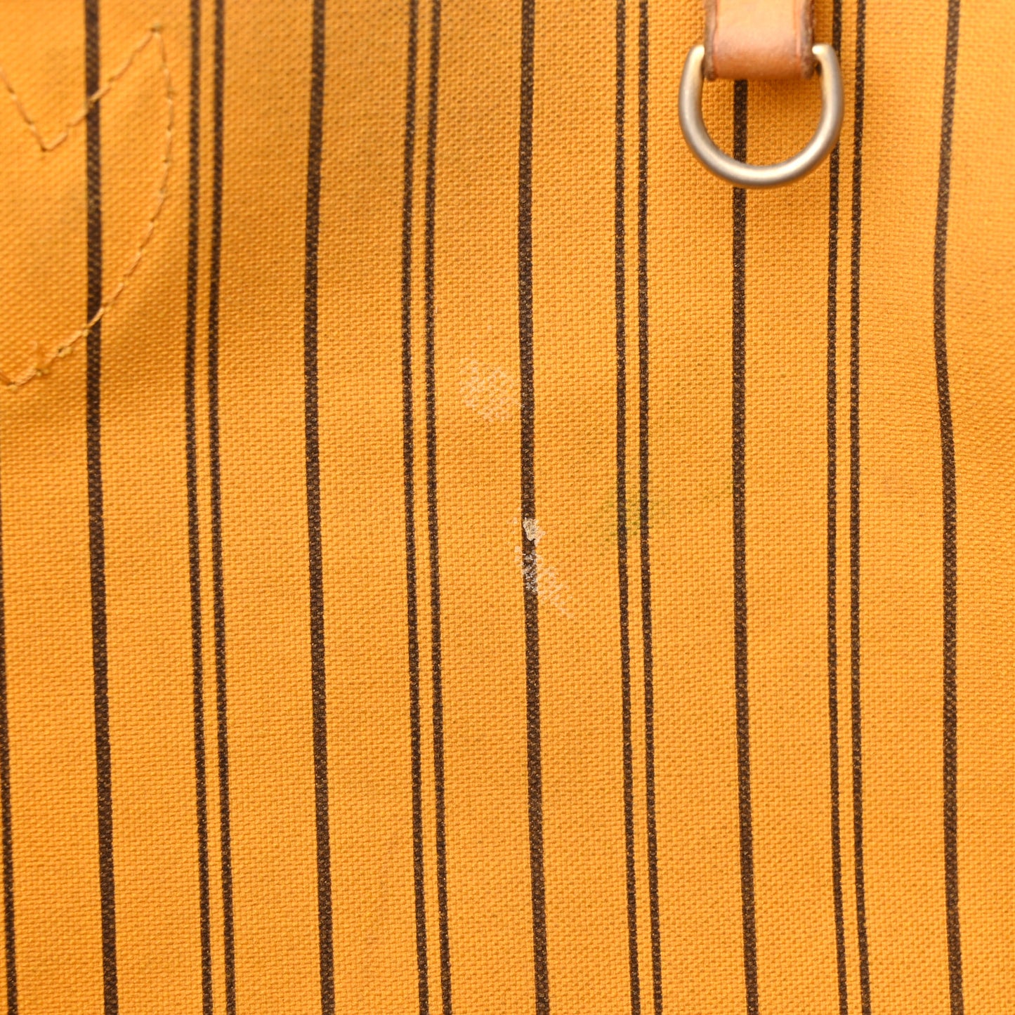 Monogram Neo Neverfull GM Mimosa