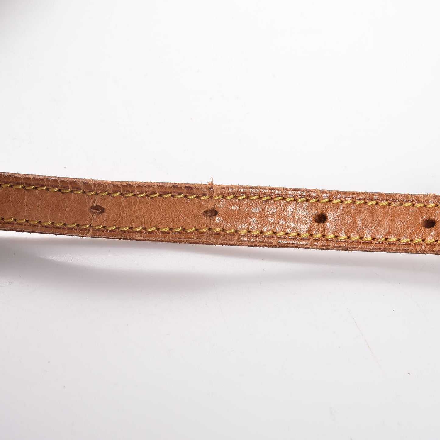 Monogram Saint Cloud MM