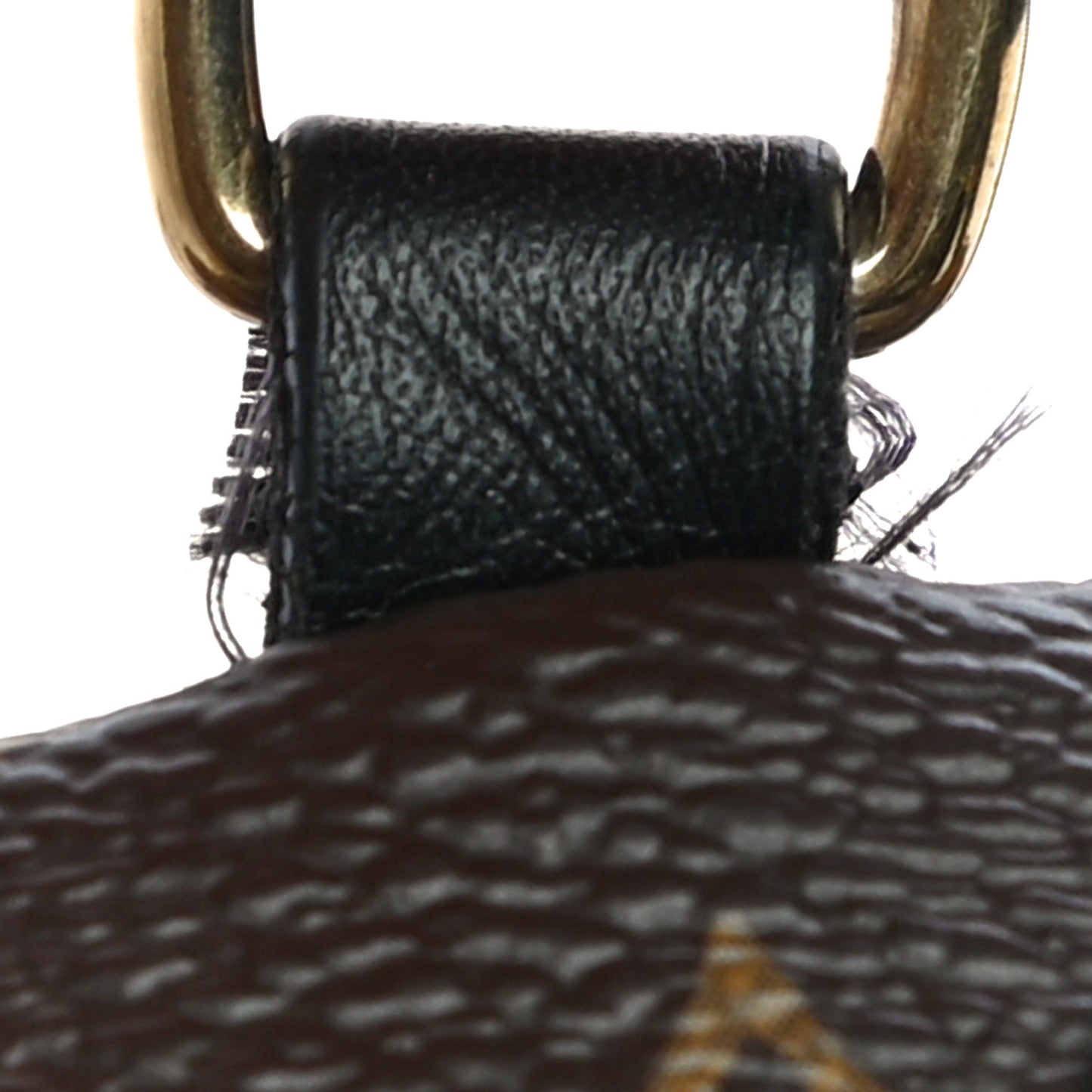 Monogram Palm Springs Backpack Mini