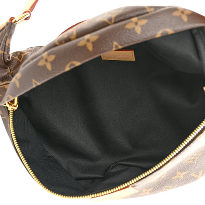 Louis Vuitton Monogram Bumbag 5 of 9