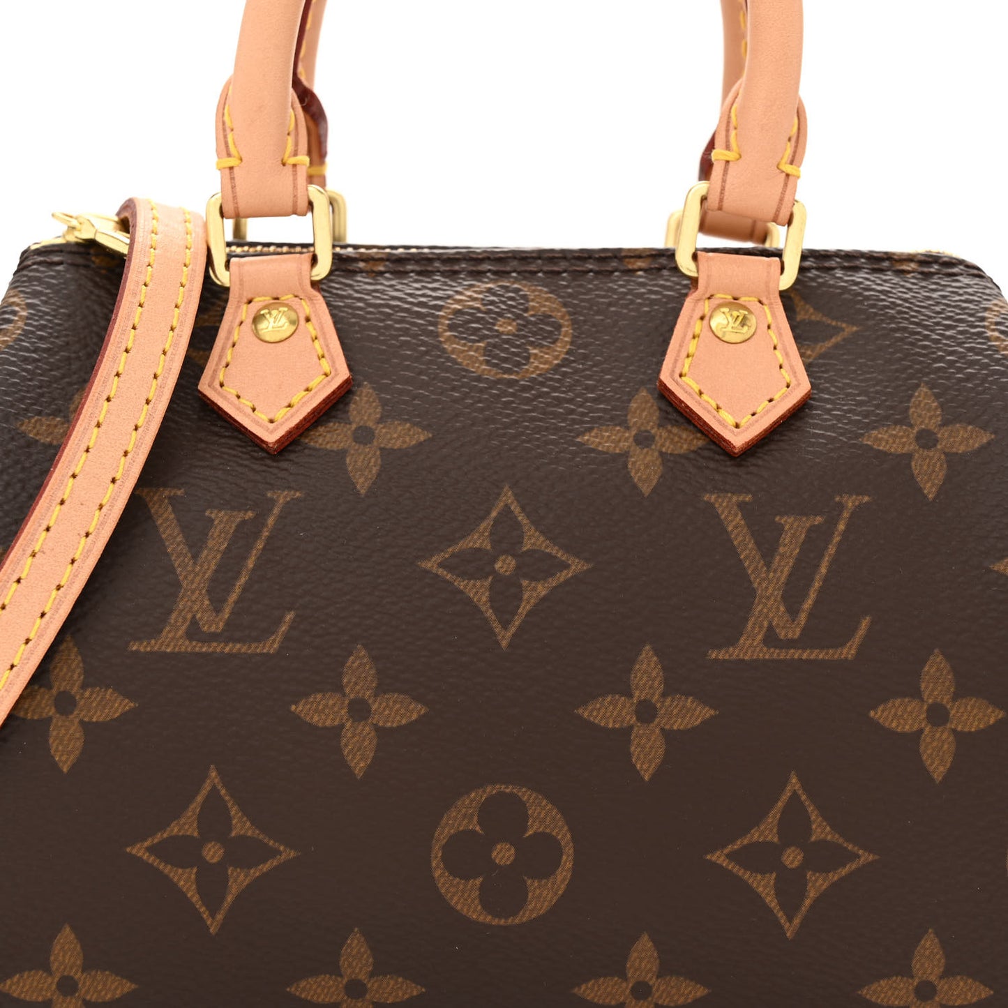 Monogram Nano Speedy
