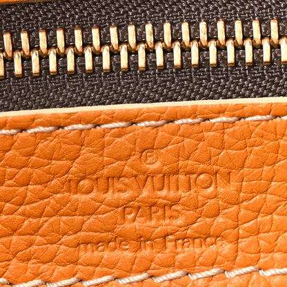 Louis Vuitton Tobago Calfskin Carryall Yellow 6 of 9