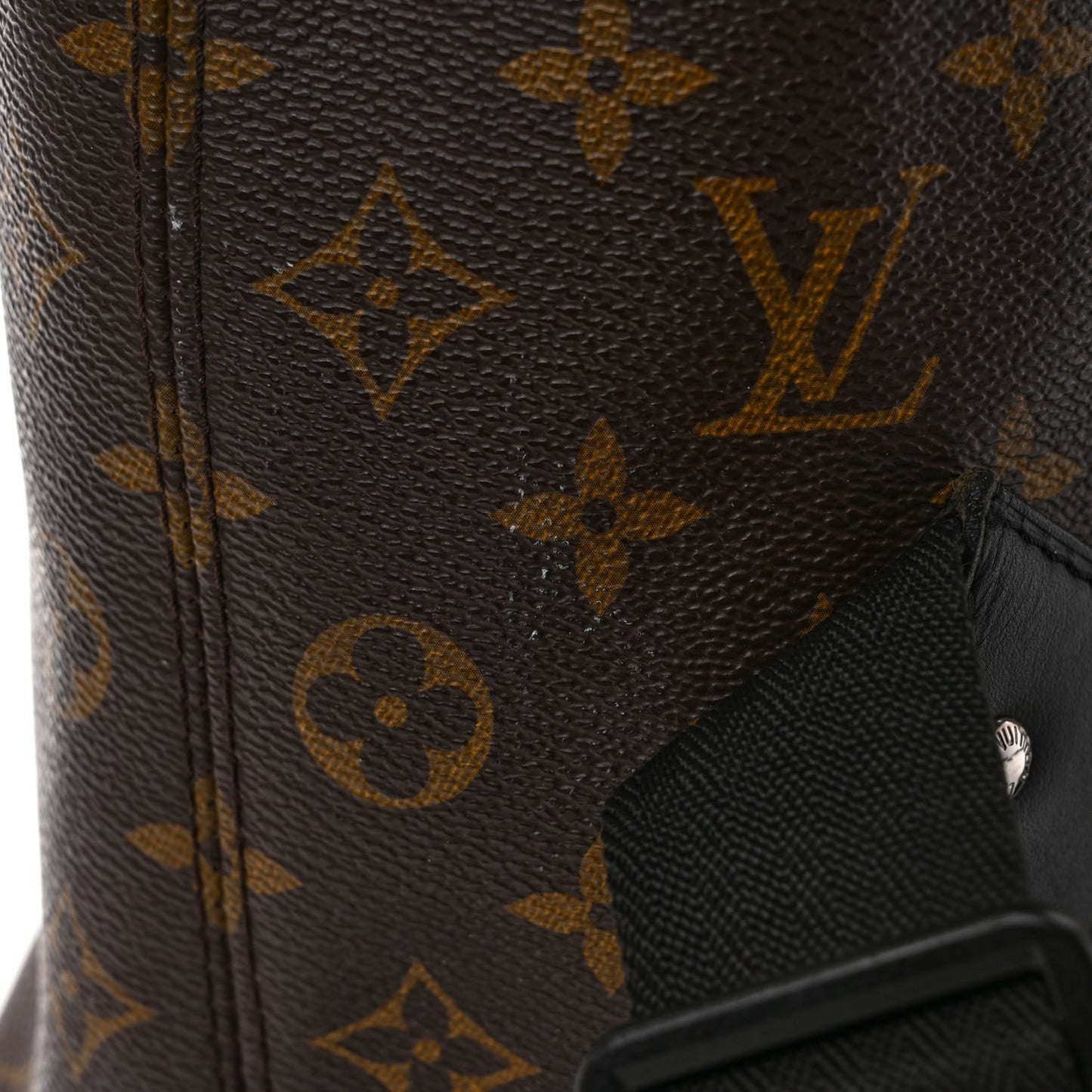 Monogram Macassar Palk Backpack