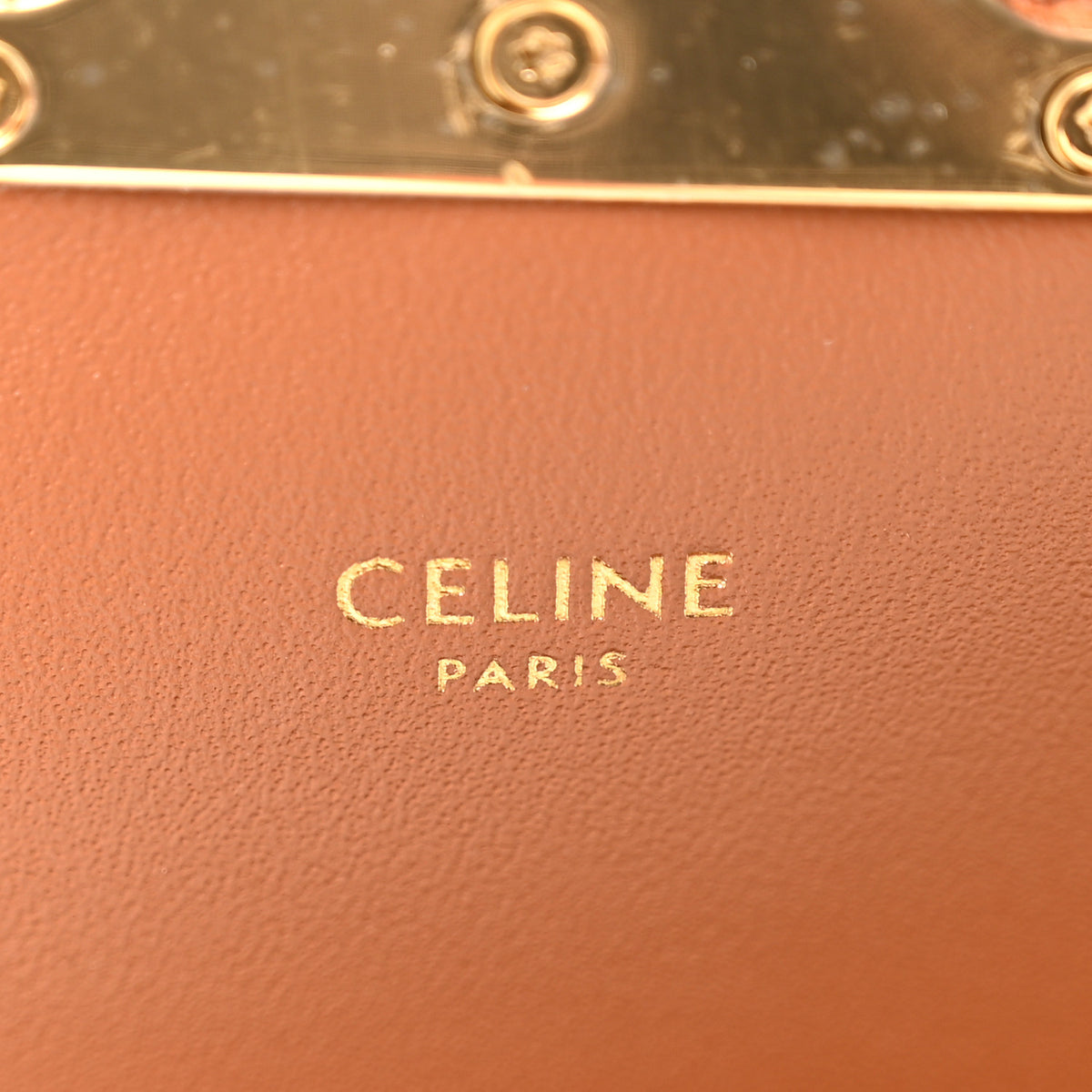 Calfskin Triomphe Canvas Teen Triomphe Bag Tan
